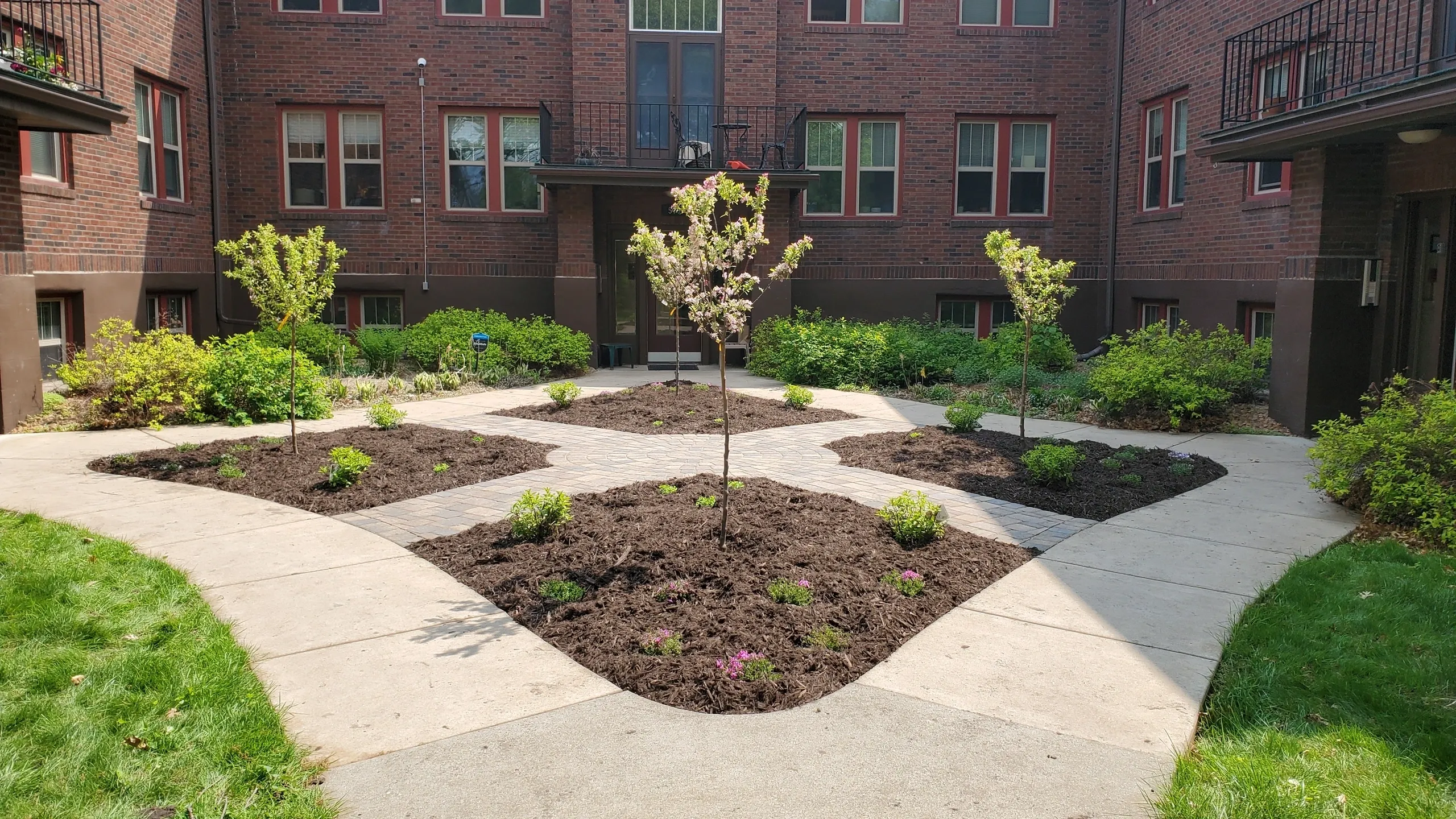 A garden with a tree in the middle of it.