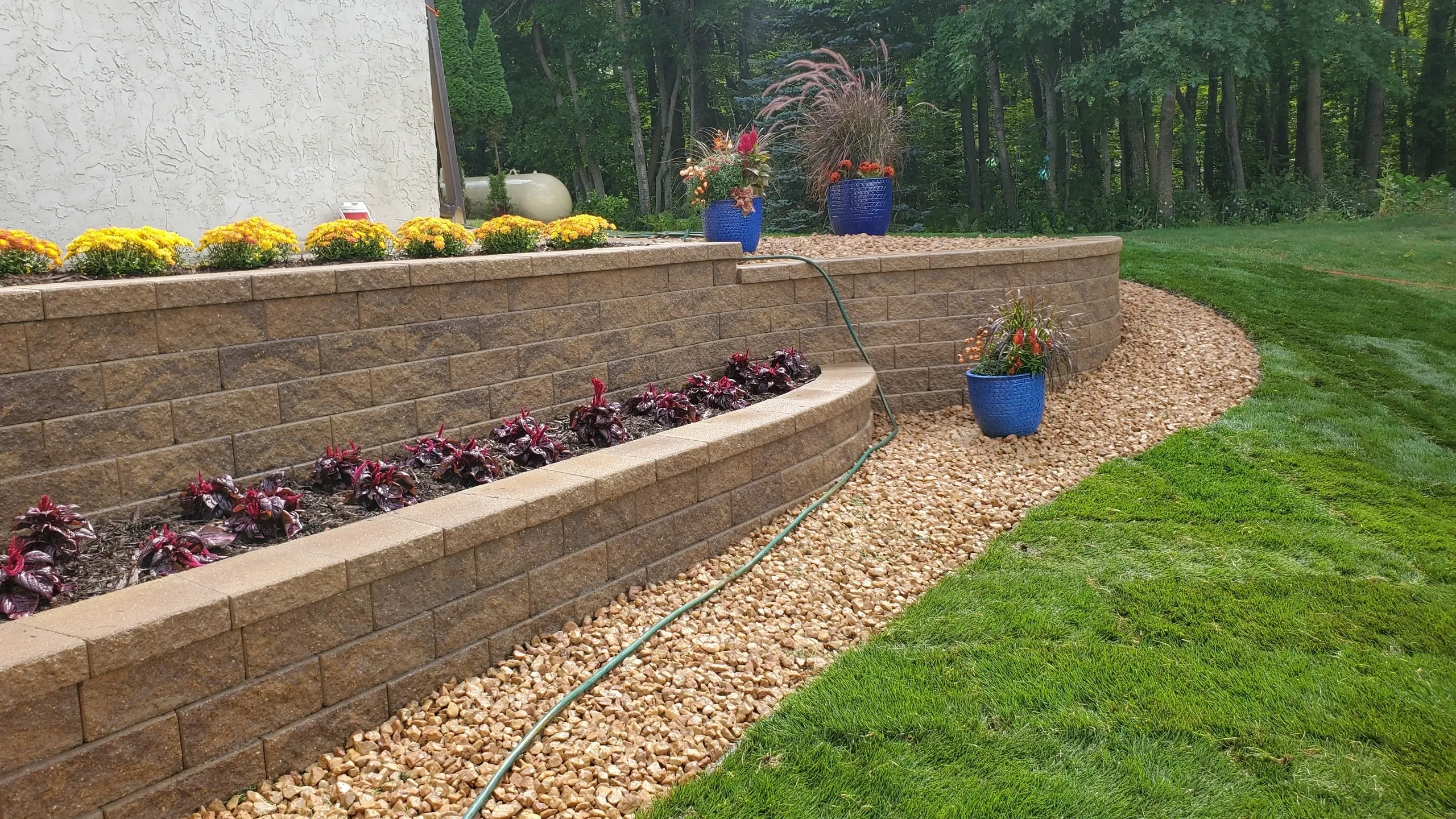 A garden with flowers and rocks in the background.