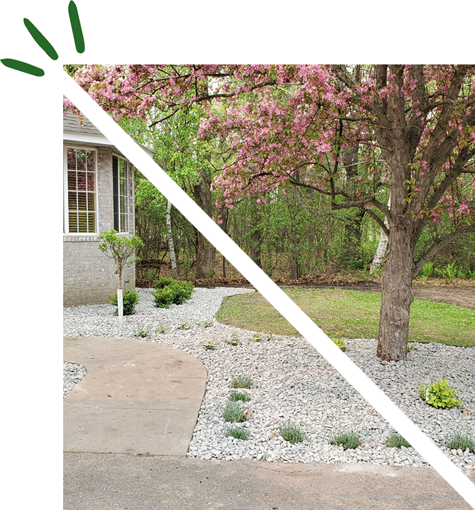 A house with a tree and some grass