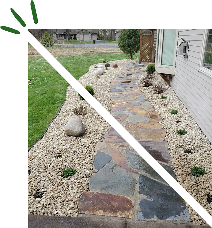 A walkway with rocks and plants in the yard.