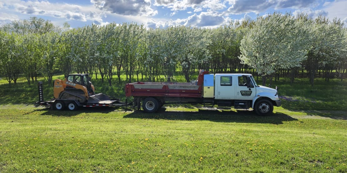 A truck is parked in the grass near trees.