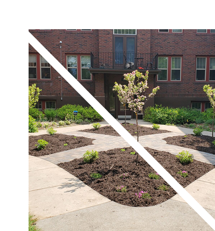 A courtyard with plants and trees in the center.